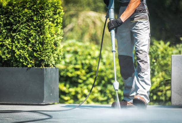 Best Gutter Cleaning  in Boyne City, MI