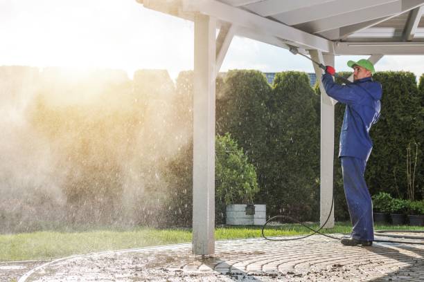 Best Soft Washing  in Boyne City, MI