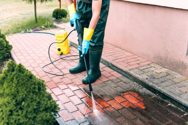 Best Dumpster Area Cleaning  in Boyne City, MI